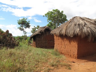 Village Houses